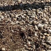 Nonamee95 - mężczyzna, 30 lat, Koszalin