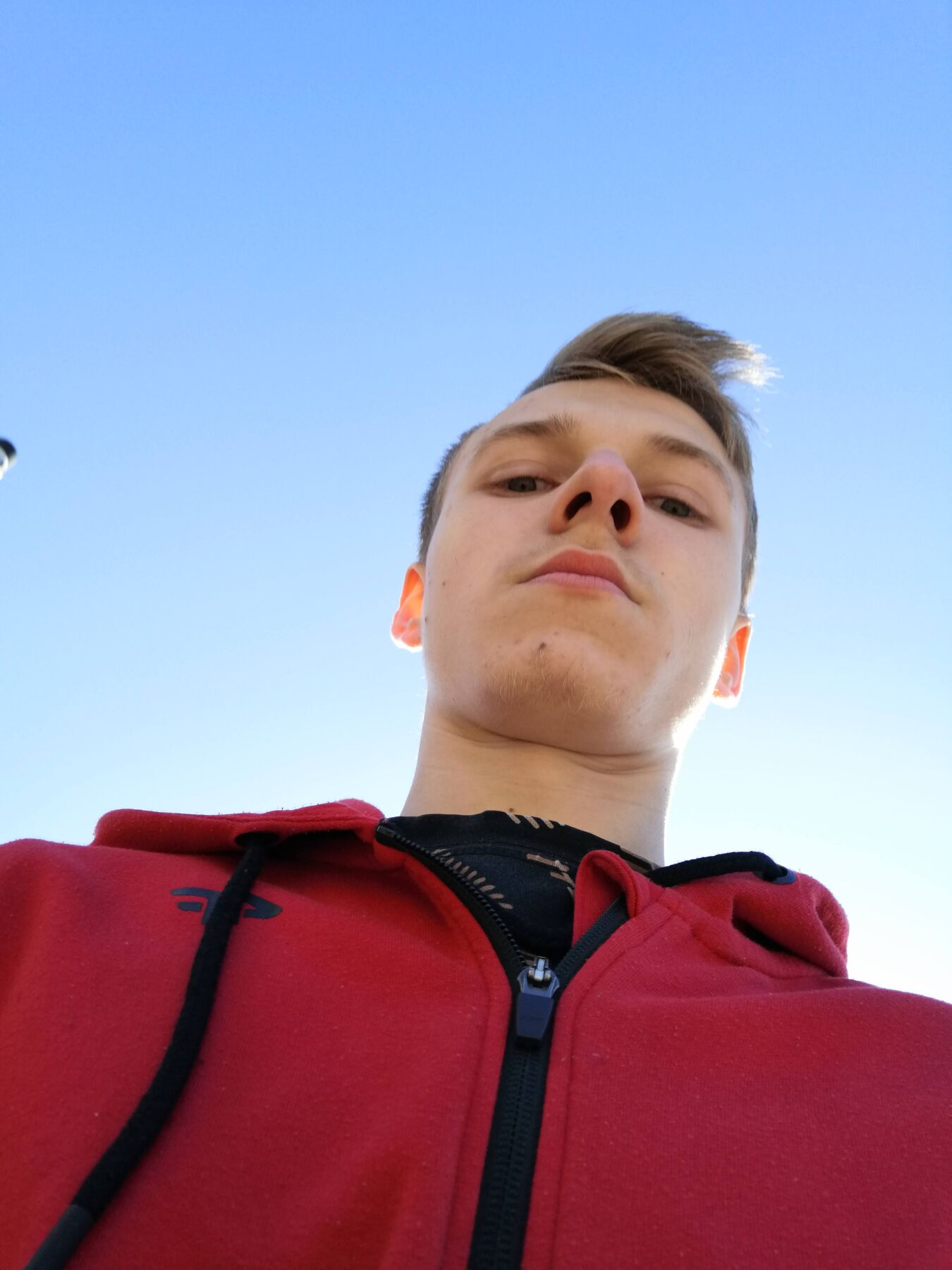 Photo in gallery