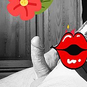 Marek1 - mężczyzna, 50 lat, Żary