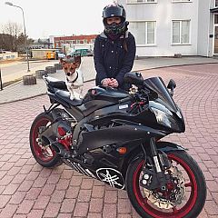Photo in gallery