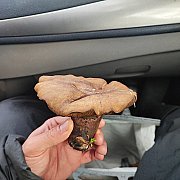 JuustForFun - mężczyzna, 28 lat, Płoty