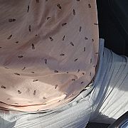 Andrzeyek - mann, 35 Jahre, Władysławowo