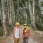 Cyrk