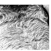 LookAtMeNow9 - mężczyzna, 37 lat, Wrocław