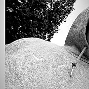 Luka23176 - man, 26 years, Szczecin