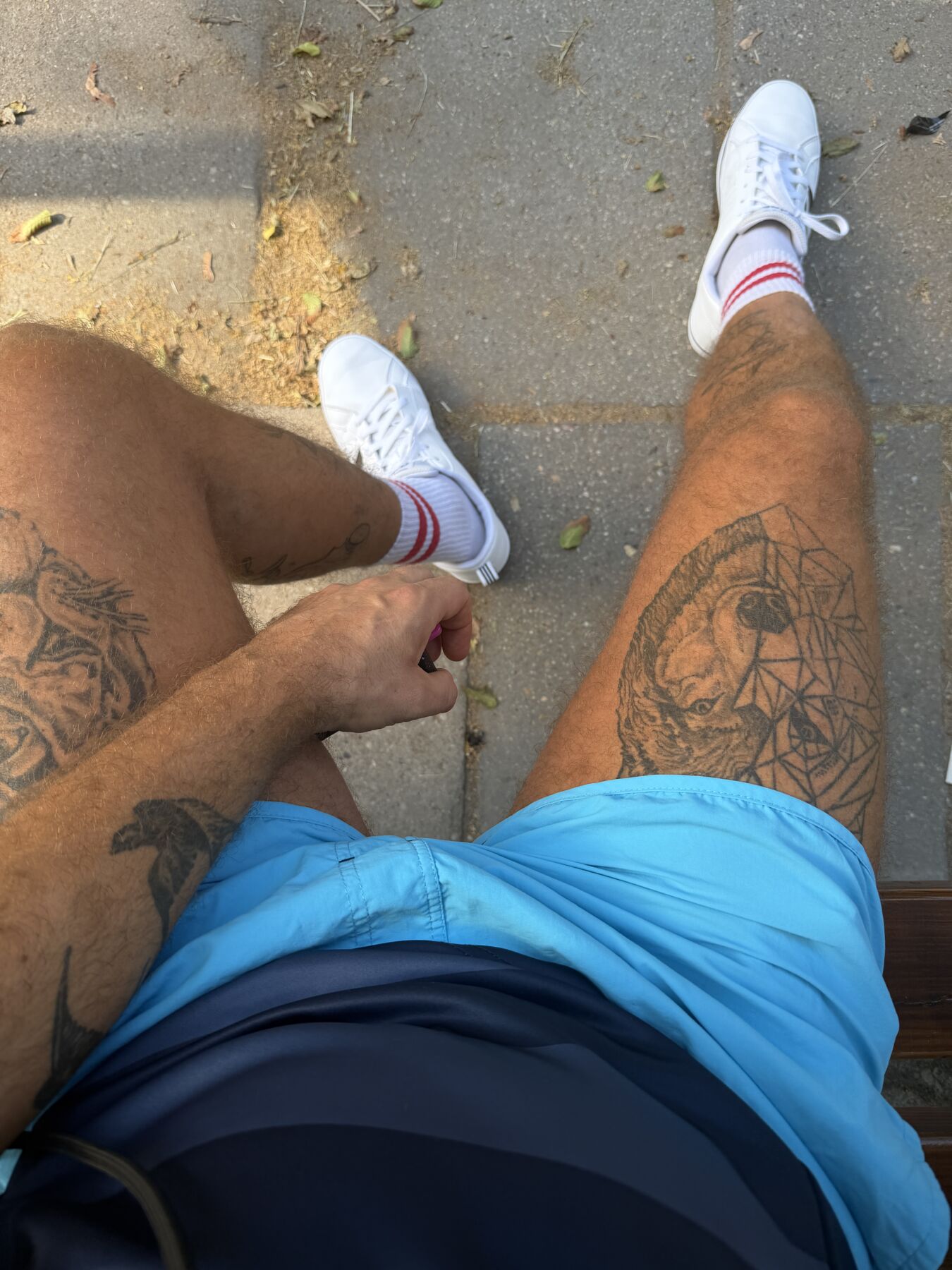 Photo in gallery