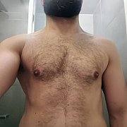 PanS11