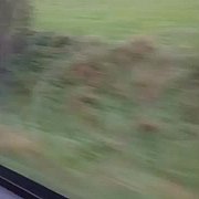 Fillo - mężczyzna, 43 lat, Kraków