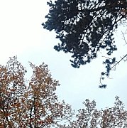 Bezczelny - чоловік, 29 років, Otwock