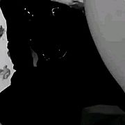 Dazijo88 - mann, 38 Jahre, Southampton