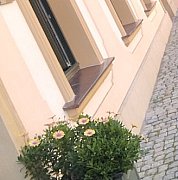 Morvo - мужчина, 35 лет, Wieluń