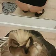 Paradate - para (kobieta 33 lat, mężczyzna 34 lat), Poznań