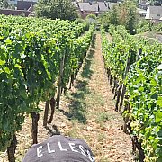 Heniu11 - mężczyzna, 32 lat, Gorzów Wielkopolski