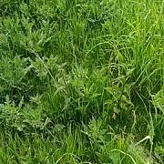 Dlugiiiii - muž, 43 let, Płock