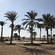 Kriss80x - mężczyzna, 44 lat, Stalowa Wola