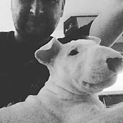 Genek110 - mann, 43 Jahre, Gdynia