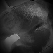 Weronika15789 - kobieta, 42 lat, Konin