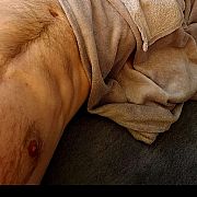 YourMasterDevil - mężczyzna, 35 lat, Bielsko-Biała