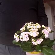 Jaktotak - man, 65 years, Chojna