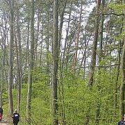 Normy - mężczyzna, 43 lat, Ciechanów