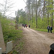 Normy - mann, 43 Jahre, Ciechanów