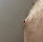 Tomek741 - mann, 41 Jahre, Katowice