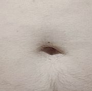 Kr88is - mężczyzna, 45 lat, Września