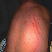 Spraagniony29 - mężczyzna, 31 lat, Gdańsk