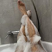 FunnyBoy11 - man, 31 years, Bydgoszcz