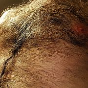 BezWstyd - мужчина, 42 лет, Warszawa