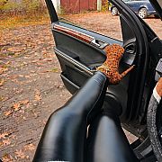 Alina41 - жінка, 42 років, Mińsk Mazowiecki