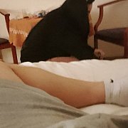 Haha113 - muž, 35 let, Szczecin