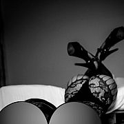 Kaja14 - frau, 39 Jahre, Łódź