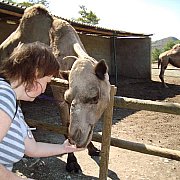 Barbara - Kobieta, 38 Lat, Croydon, Wielka Brytania