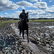 Opolskicelebryta - mann, 37 Jahre, Opole