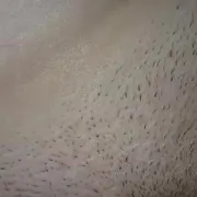 Ponetni23