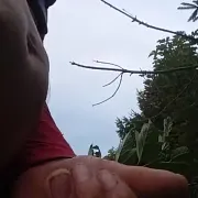 Walikon80