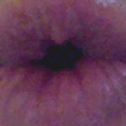 Mouthforyou - mężczyzna, 49 lat, Gdańsk