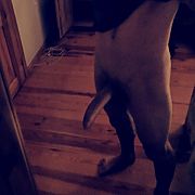 Loki96 - mann, 26 Jahre, Gdynia