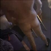 Pawelolka196 - muž, 33 let, Legnica