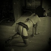 Dyskretnipodgladacze69