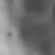 MichXCT - mann, 41 Jahre, Toruń