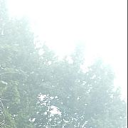 Kulesza94 - kobieta, 31 lat, Poznań