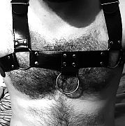 Kociak2024 - mężczyzna, 35 lat, Złotoryja