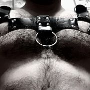 Kociak2024 - mężczyzna, 35 lat, Złotoryja