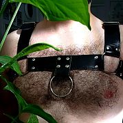 Kociak2024 - чоловік, 35 років, Złotoryja