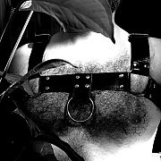 Kociak2024 - mężczyzna, 35 lat, Złotoryja