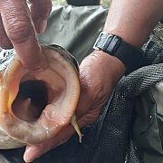 Madoks - man, 39 years, Konin