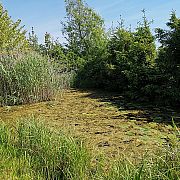 Jarek60 - muž, 61 let, Hannover