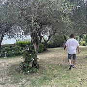 AdamousAdam - mężczyzna, 41 lat, Szczecin